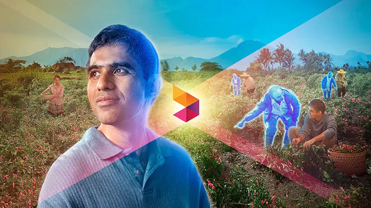 Advancing Green Economy  